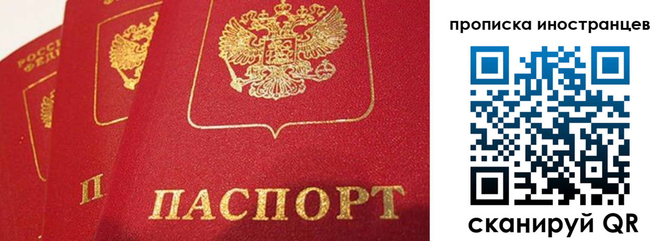прописка поиск в Юрьев-Польском